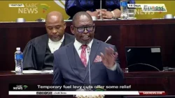 MTBPS | Temporary fuel levy cuts offer some relief