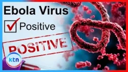 Ebola Threat: Public Health Union Gives Government Until Wednesday to Resolve Strike