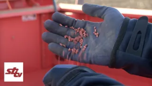 SBTV - DNEVNIK - ZABRANA UVOZA MINERALNIH GNOJIVA UDAR ZA RATARE? - 02.03.2026.