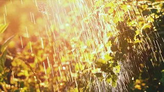Nicaragua expects light to moderate rain and temperatures up to 35 degrees