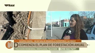 Annual Afforestation Plan Begins: Actions are Part of the "Greener Jacobacci" Program