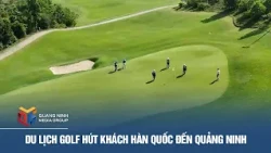 Golf Spotlight