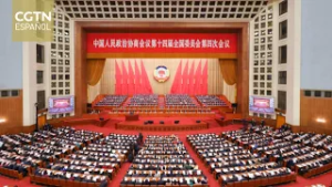 El Comité Nacional de la CCPPCh inicia su sesión anual