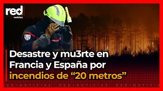 SHOCKING videos of historic wildfires in Spain and France: "I've never seen anything like this"