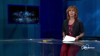 TG Molise 2:00 PM newscast for 08/16/2026