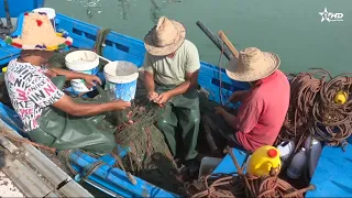 Fnideq - Traditional Fishing: How does fishing activity boost the local economy?