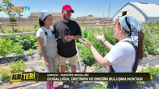 ALIN TERİ   15 AĞUSTOS 2026 ESENTEPE MAHALLESİ TARLA İŞLERİ