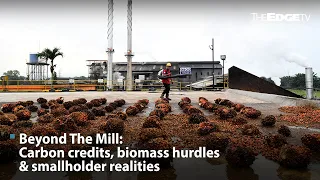 [Beyond The Mill] Carbon credits, biomass hurdles & smallholder realities