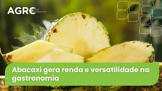Agro Saúde e Cooperação - Produção de Abacaxi