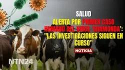 Alert over FIRST human case of 'Shamonda' virus: "Investigations are ongoing"