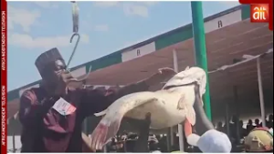 Президент Тинубу посетил рыболовный фестиваль Аргугу 2026 года в штате Кебби.