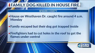 Dog dies in Liberal house fire; two vehicles destroyed