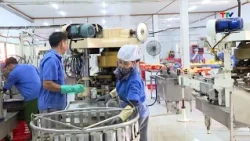Businesses and the Trend Toward Production Automation