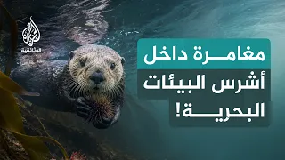 بين مد وجزر.. معركة البقاء في أبرد بحار كندا!