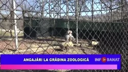 Angajări la grădina zoologică