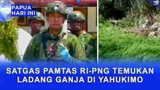 SATGAS PAMTAS RI-PNG TEMUKAN LADANG GANJA DI YAHUKIMO