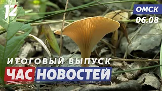 Where to find porcini mushrooms? / Putin's assessment of Omsk / Dog found after a week. Omsk News