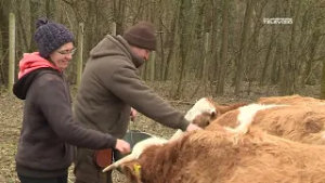 Zöldövezet – 2026 március