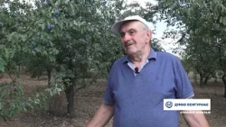 TV Galaksija32- UZGOJ OBLACINSKE VISNJE U ZITORADJI 15 10 2026