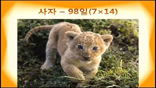 LLBN 2014조옥현 06일곱째날의사랑