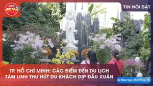 TP. HỒ CHÍ MINH: CÁC ĐIỂM ĐẾN DU LỊCH TÂM LINH THU HÚT DU KHÁCH DỊP ĐẦU XUÂN