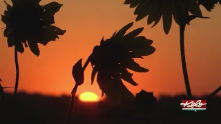 KELOLAND is off to a scorching September