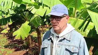 Desarrolla estrategias Empresa Arnaldo Ramírez para garantizar sus producciones
