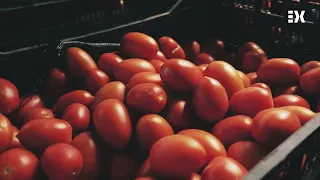 Organic fruit gains popularity | La Besana en Verde