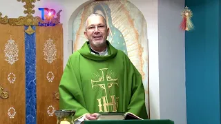 SANTA MISA DOMINGO 16 DE AGOSTO 2026 PADRE FRANKLIN MANRIQUE https://tvfamilia.com/santa-misa/