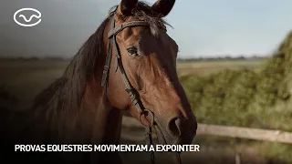 Equestrian competitions energize Expointer