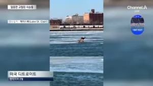 “날 두고 가?”…비행기 놓치자 면세점서 난동 / 채널A / 뉴스A