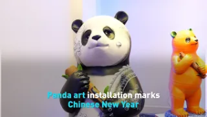 Panda art installation marks Chinese New Year