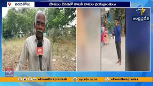 Snake Menace Creates Panic in Jyothi Colony of Nidadavole