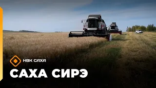 «Саха сирэ» информационнай биэрии. Атырдьах ыйын 12 күнэ 20.30