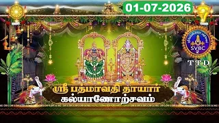 Sri Padmavathi Ammavari || Kalyanotsavam || Tiruchanoor || 01-07-2026 || SVBC2 Tamil || SVBC TTD