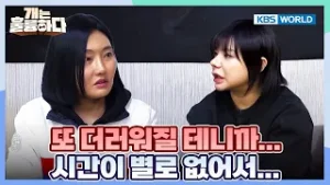 Excuses, Excuses, and Excuses? [Dogs Are Incredible:Ep.12-4] | KBS WORLD TV 260203