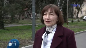 Blago povećana koncentracija polena u Pančevu - TV Pančevo