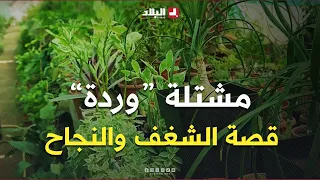 El Tarf: "Warda" Nursery in Bird Lake... From a Love of Nature to a Success Story