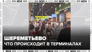 Обстановка в Шереметьево: задержки рейсов 19 августа