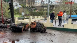 Câmara Oliveira do Hospital crítica não inclusão do concelho nos apoios do Governo face à tempestade