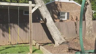 Greensboro homeowner left in limbo as storm-damaged trees hover above power line