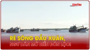 Rẽ sóng đầu xuân, ngư dân mở biển đón lộc! | CT-TDT
