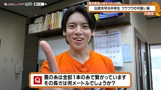 猫のひたいほどワイド #1782 潜入リポート・髙木彰良「伝統工芸を守る中学生！フワフワの可愛い○○！？」（大和市）