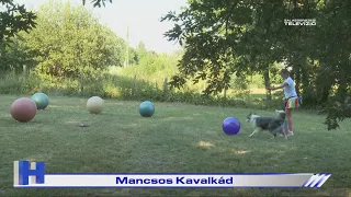 Mancsos Kavalkád – ZTV Híradó 2026-06-30