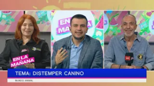 ¿Qué es el DISTEMPER CANINO y cómo se contagia? | En La Mañana