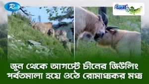 জুন থেকে আগস্টে চীনের জিউলিং পর্বতমালা হয়ে ওঠে রোমাঞ্চকর মঞ্চ | Biggan O Prokriti | Rtv