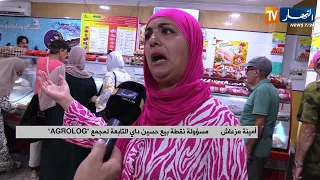Society: Significant quantities of frozen chicken released to markets at 350 DZD per kilogram