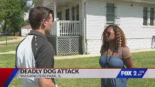 Neighbors feared pack of dogs before fatal attack in Washington Park