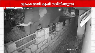 ജനവാസ മേഖലയിൽ കാട്ടാന ഭീതി! മണ്ണാർക്കാട് ഏടത്തനാട്ടുകരയിൽ വീടുകൾക്കിടയിലൂടെ ആന നടന്നുനീങ്ങി