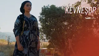 Kevneşop - Xeleka 11 | كەڤنەشۆپ - خەلەکا ١١